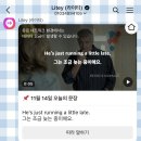 이티 | 성인영어회화 카톡영어로 공부하기, 라이티 후기