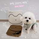 러블리점핑 - 진주시 | 강아지 슬개골 관리템 추천, 퍼핑 근적외선 패드 사용 후기