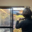 보람마트 | [유후인 가족여행] 개인노천탕 있는 료칸 “오야도 고린카” 솔직후기, 주변 마트 추천