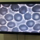 혜성플러스의원 이미지