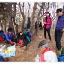 해명초교 이미지