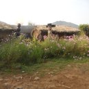 산들바람농장 이미지