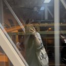 주시회사 공사중푸드마켓 | 2025 SYD - 1 (시드니 여행)