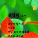 갈잎 이미지