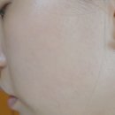[정샘물뷰티] 에센셜 스킨 누더 쿠션/정샘물 스킨누더쿠션/정샘물 쿠션/스킨누더쿠션 페어라이트