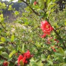 모산봉등산로 이미지