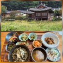 서출지 | 경주 서출지 산책 통일전 부근 맛집 "여기당" 시래기밥 정식 예약 필수