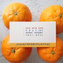 청정제주농산 이미지