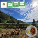 정성국수 이미지