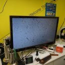 슈르+ 동물병원 이미지