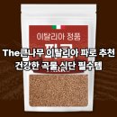 The 건강나무 이미지