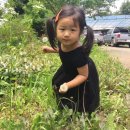 손커피연구소 이미지
