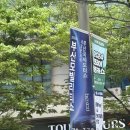 대웅장 | 2024 부산 모터쇼 벡스코 부산모빌리티쇼 주차 꿀팁, 후기