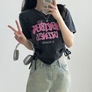 피그먼트 이미지