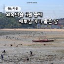 (주)다인테크 | 왜목마을 물때표 6월 해루질 가기 좋은 날짜 정리