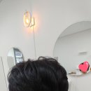 바비샵 이미지