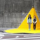 횡단보도옐로카펫 이미지