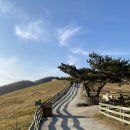 해림목장 이미지