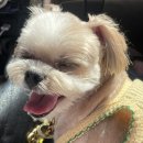 춘복살롱 이미지