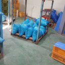 경북깐마늘 이미지