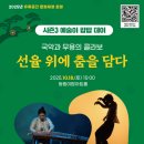 산조, 춤을 담다 이미지