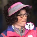 거시기닭갈비 이미지