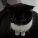 알지 식자재마트 | 밴쿠버 워홀기록 #4 한아름 마트 구경 / 애플펜슬 구출하다 / 유혈사태 / 아트박스 / 어반아웃피터스...