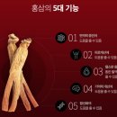 정관장홍삼순천역점