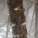 팔공산왕건길 2코스 이미지