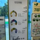 우종미술관 | 보성 여행 1일차(우종미술관,한국차박물관,청광도예원,춘운서옥카페)