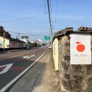 안성리 | 제주 서귀포 배우 박한별 카페 벨진밧 │천혜향 주스 &amp; 밧두렁 솔직후기