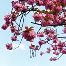 유엔기념공원주차장 이미지