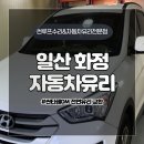 화정유리