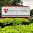 브룩5(BROOK5) 이미지