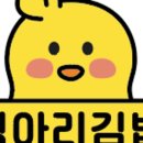 병아리김밥녹번역이편한