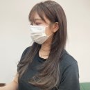 하쏘헤어 이미지