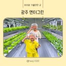 엔터 | 광주 엔터그린 체험 리얼 방문후기 직접 다녀온 솔직 리뷰