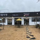 사월의국수 이미지