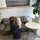 에이프릴펫 | 🐻 부천 상동 에이프릴펫, 강아지 곰돌이 컷 완벽 변신 후기! ✨