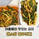 예소담 맛있는 열무김치추천 <b>예소담</b> 김치로 입맛살리기
