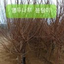 양촌슈퍼 이미지