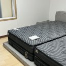 도아드림 | 신혼이불 계절별 추천에서 실패후기까지 (도아드림,꼬또네,호무르,자리아)