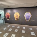 넷사이버 | 6/14 ~ 6/18 씹타쿠의 도쿄닌자여행 3일차