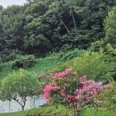 망마보조경기장 이미지