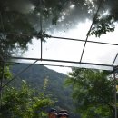 직실농원 이미지