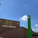 다우샘네일 | [ 7월 4주차 ] 백수가 세상에서 제일 바빠