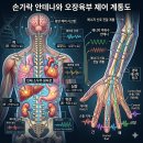 제2부 1장 이미지