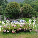 통영등대낚시공원 이미지