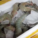 소문난공판장 이미지