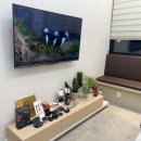 일산보청기센터 | 뉴히어링 보청기 고양센터 일산보청기 상담 후기